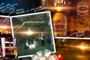 Слайд презентации промо программы алкоголя