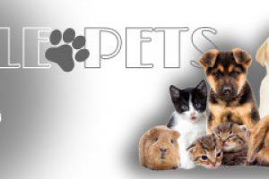 Баннер зоомагазина