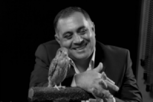 Работа 2910015