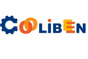 Название компании по производству пазлов-балансиров из бука arti