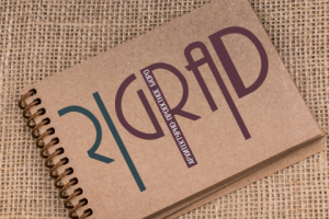 Название для архитектурно-проектного бюро rigrad.ru/