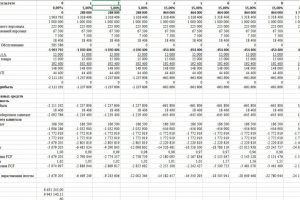 Бизнес-план проекта СОЗДАНИЯ КАПСУЛЬНОГО ОТЕЛЯ "CAPSULA"