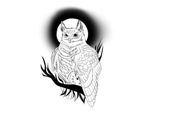img4175512.png