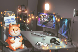 фирменный стиль для стримера