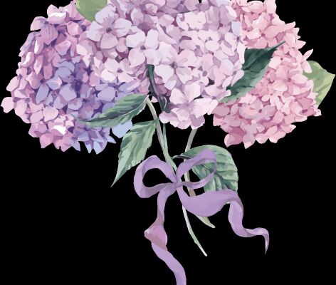 img4178074.png