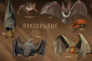 Иллюстрация для научно-популярного издания