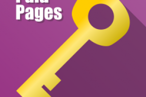 Плагин для организации платного доступа к страницам WP