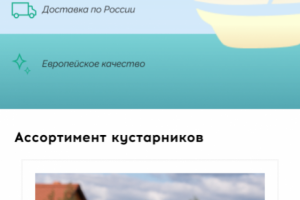 Дизайн мобильной версии вебсайта