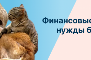 Баннер для DogCat