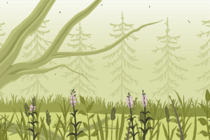 Пиксельная локация