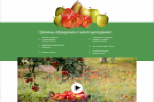 Работа 4127745