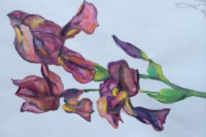 Работа 2123770