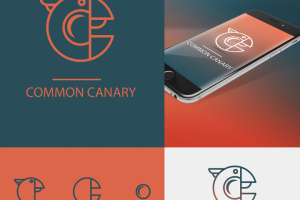 Common canary app