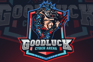 Good luck cyber arena
