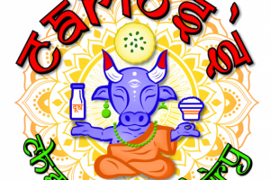 Carlos`s cheese and dairy