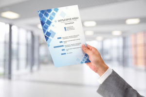 Графическое резюме для транскрибатора