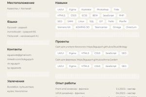 Резюме (на русском или английском)
