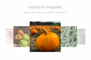 Адаптивная вёрстка сайта