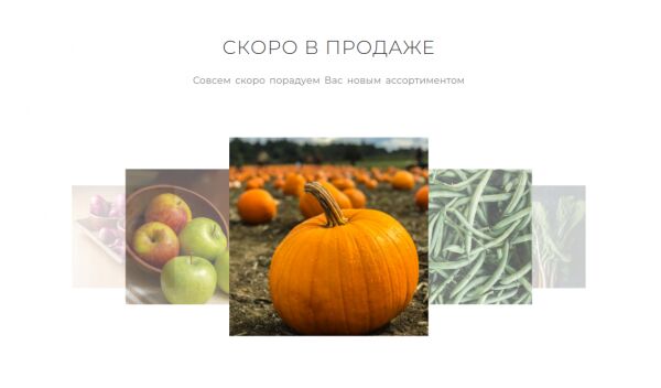 img4295250.png