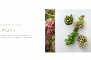 Дизайн сайта для начинающего агрария