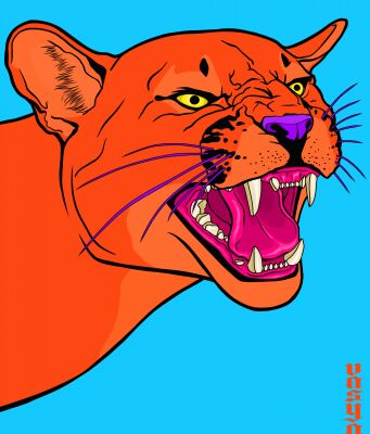 img4422025.png