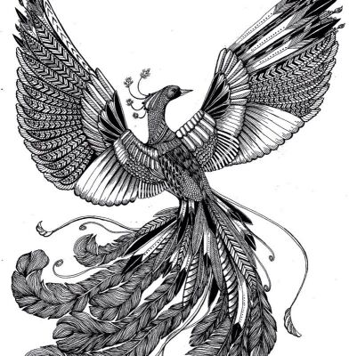 img4346331.png