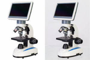 Ретушь для интернет-магазина оптики