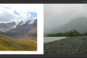 Работа 3000146