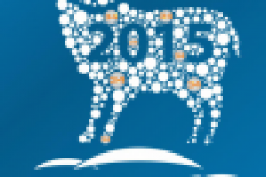 Символ 2015 года