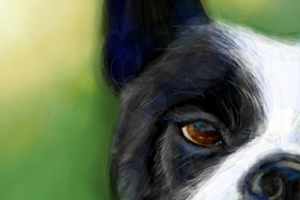 Иллюстрация - Собака