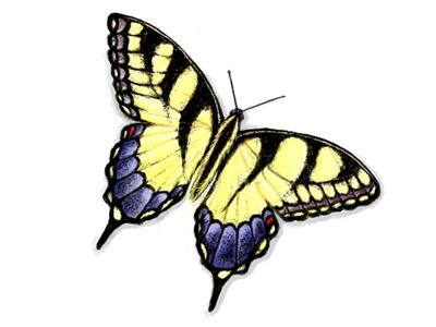 img4089888.png