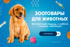 Баннер для зоомагазина