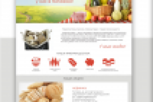 Работа 2648869