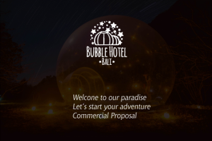 Презентация "Bubble Hotel Bali"