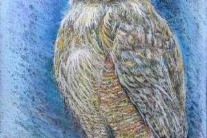 Сова