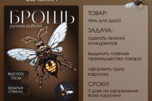 Инфографика Брошь