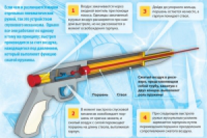 Инфографика «Подводное ружье»
