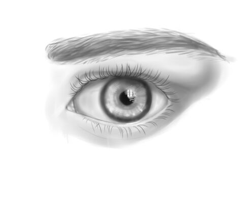 img4099695.png