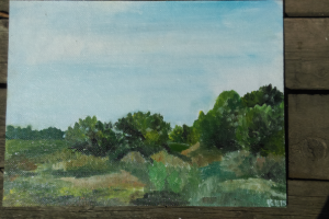 Пейзаж  с пленера - живопись - масло