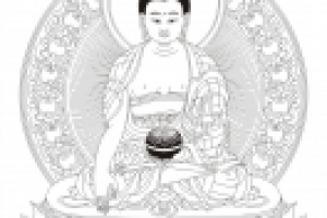 Работа 2031197