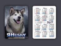 img3105833.png
