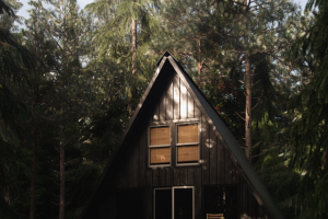 Визуализация для рекламы каркасных домов