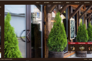 Сайт кафе "Дискавери"