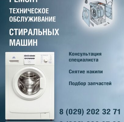 img3369585.png