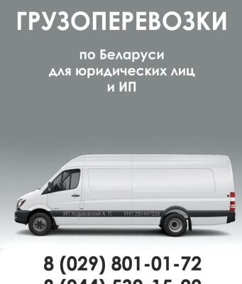 img3369583.png