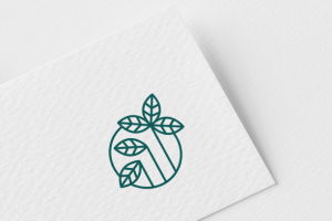 Работа 3804311