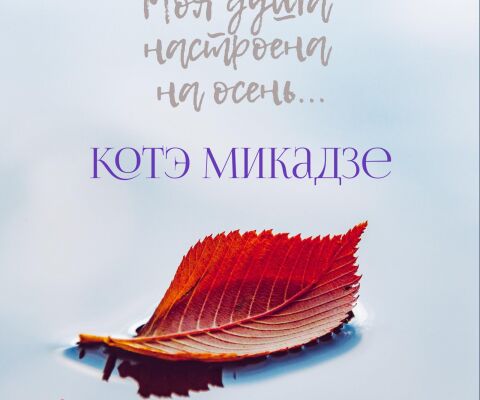 img4305829.png