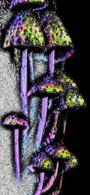 img3723652.png