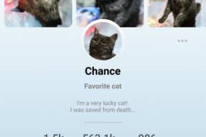 Работа 3723830