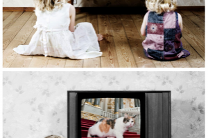 Работа 3723638